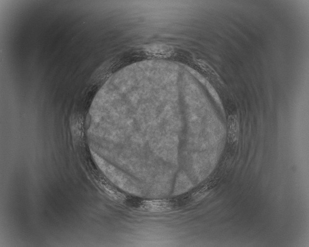 X0000081570713200702121422