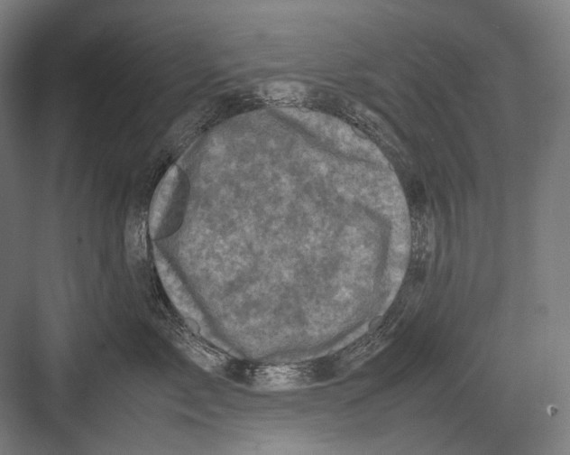 X0000081570717200702121422