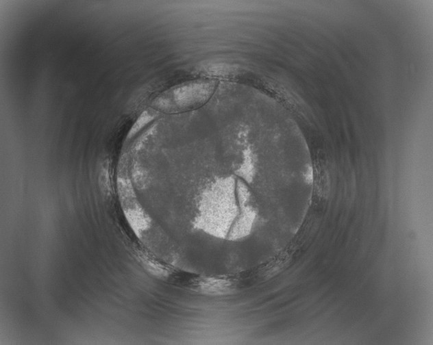 X0000081570718200702121422