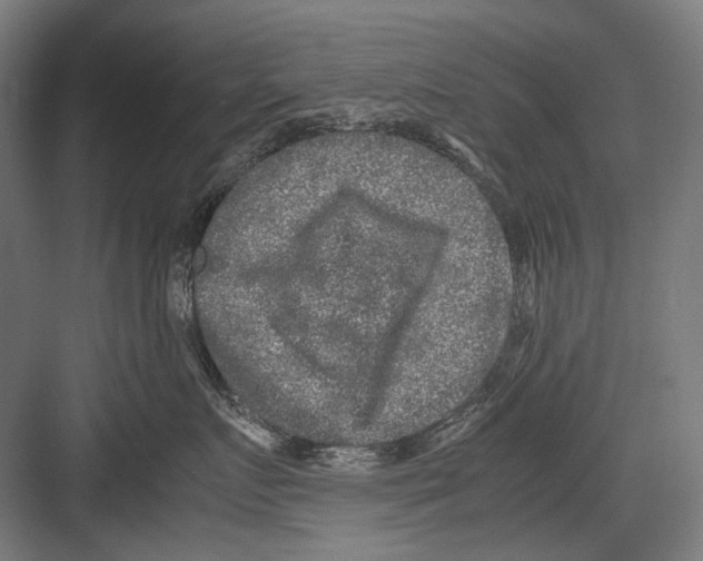 X0000081570719200702121422