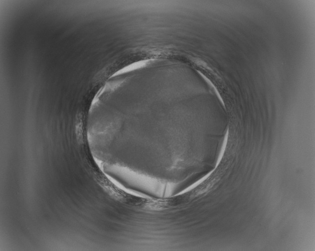 X0000081570720200702121422