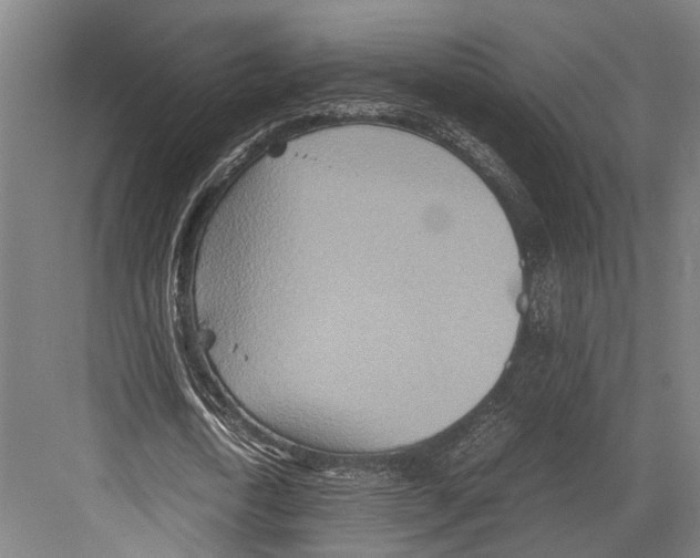 X0000081570722200702121421