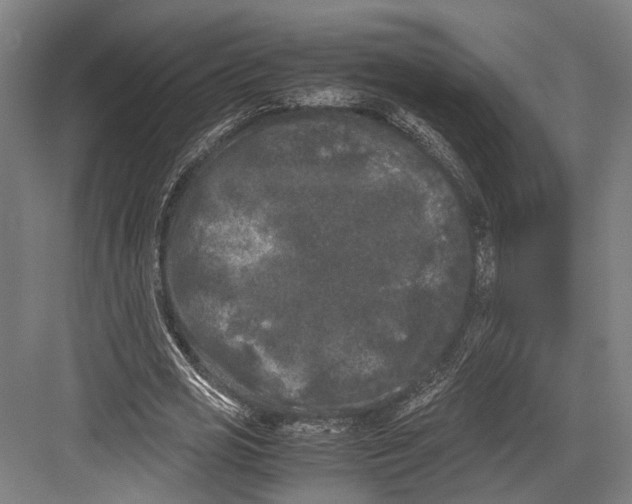 X0000081570725200702121421