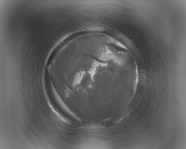 X0000081570726200702121421