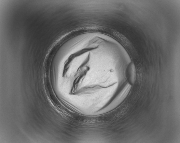 X0000081570728200702121421