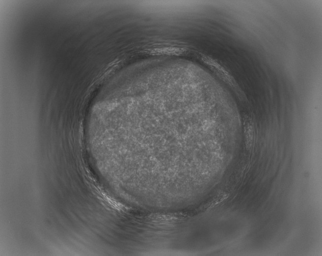 X0000081570729200702121421