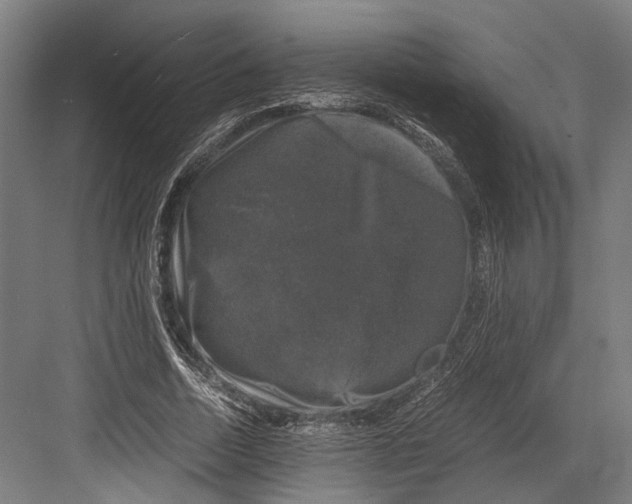 X0000081570730200702121421