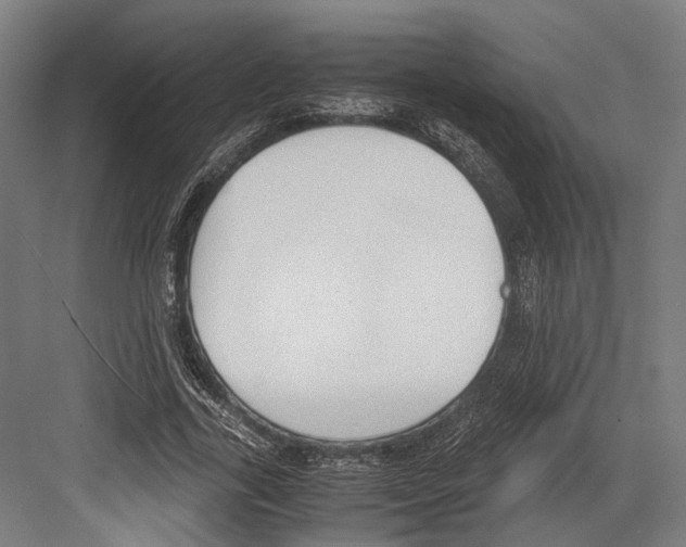 X0000081570731200702121421