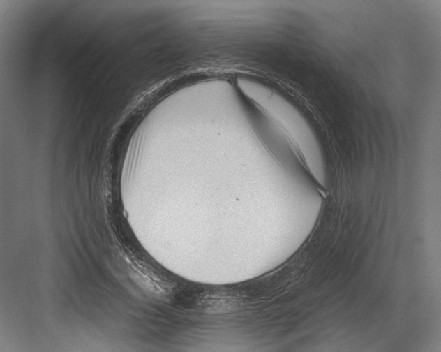 X0000081570732200702121421