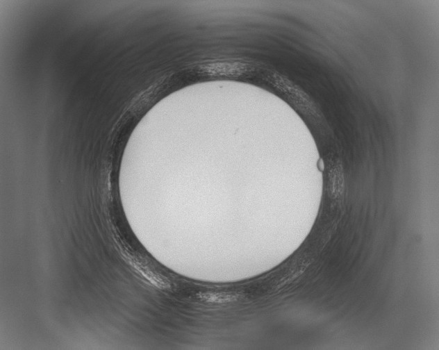 X0000081570733200702121421