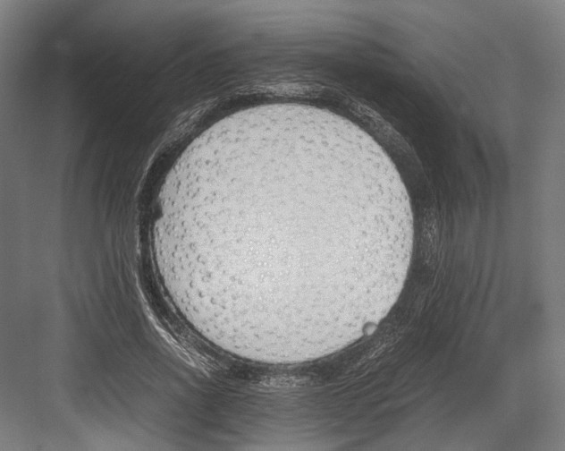 X0000081570734200702121421