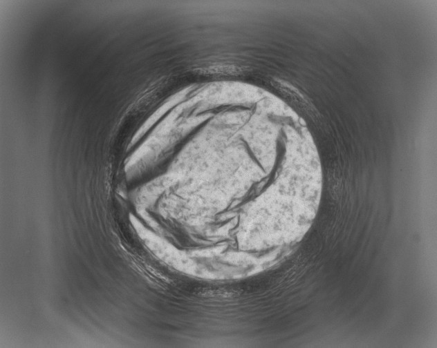 X0000081570735200702121421