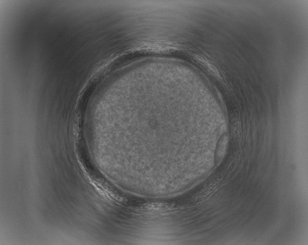 X0000081570736200702121421