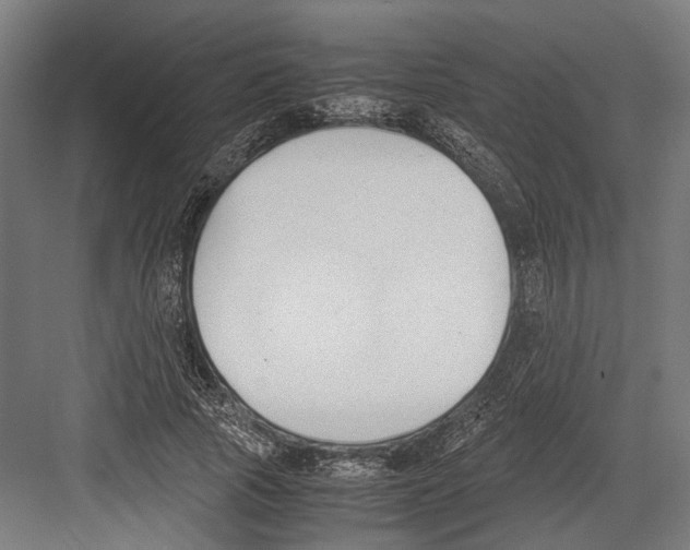 X0000081570737200702121421