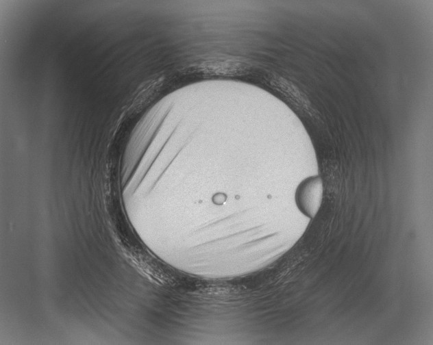 X0000081570738200702121421