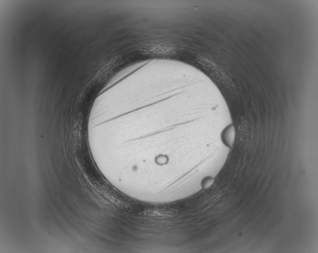 X0000081570739200702121421