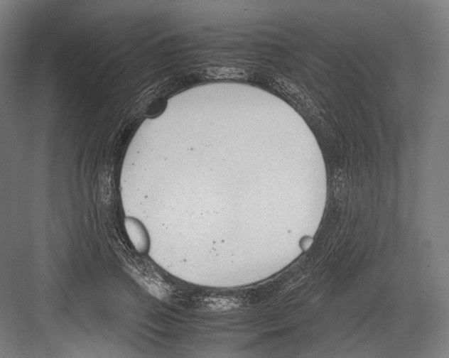 X0000081570741200702121421