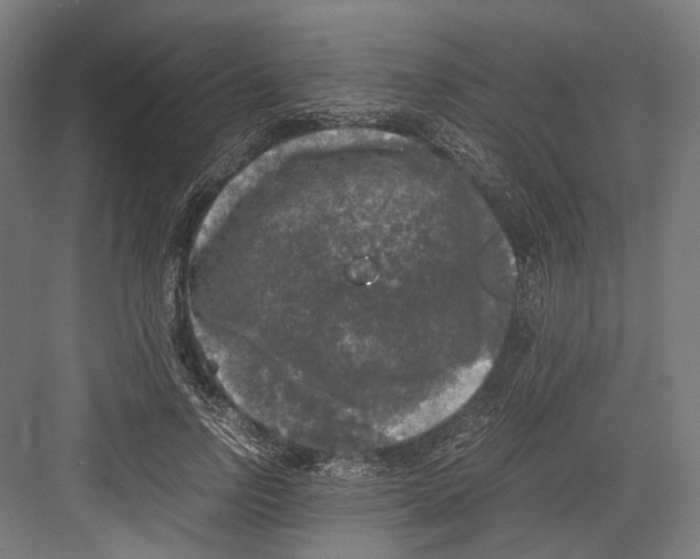 X0000081570742200702121421