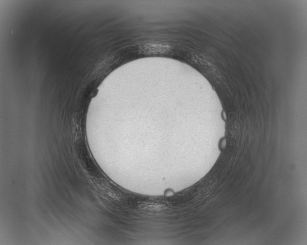 X0000081570743200702121421