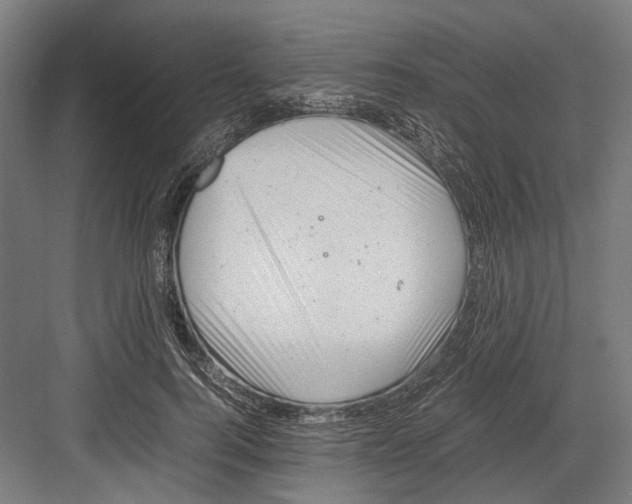 X0000081570744200702121421