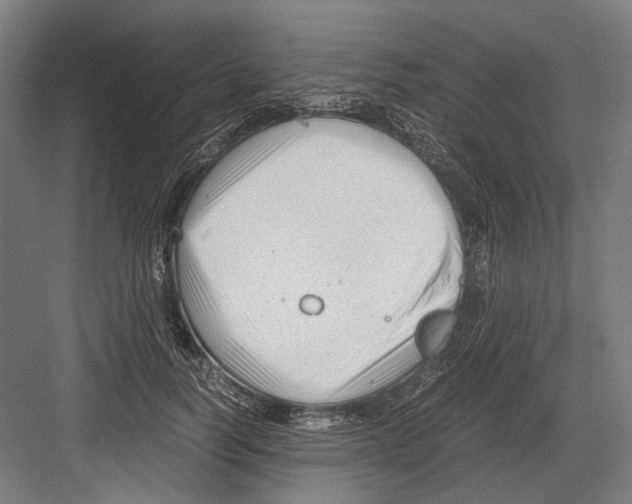 X0000081570746200702121421