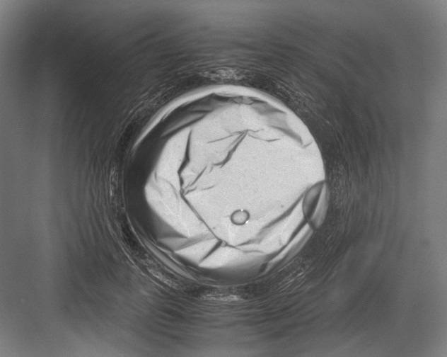 X0000081570747200702121421