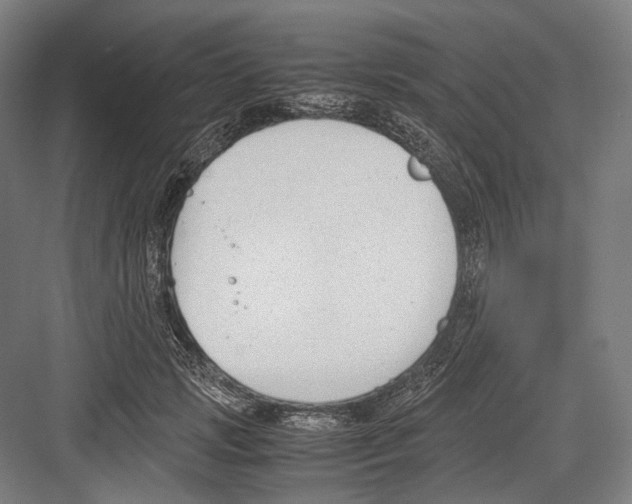 X0000081570749200702121421