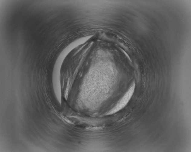 X0000081570750200702121421