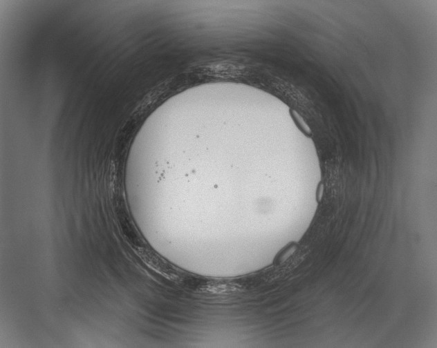 X0000081570752200702121421