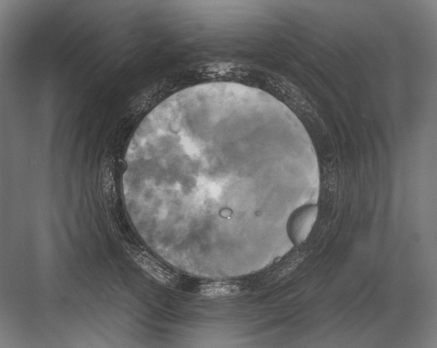 X0000081570754200702121421