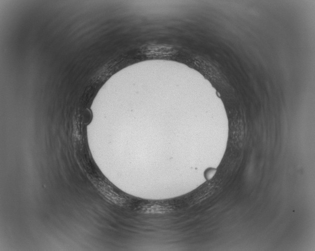 X0000081570755200702121421