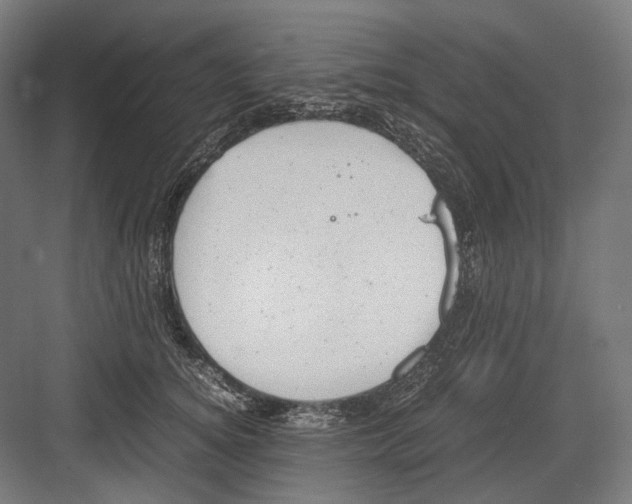 X0000081570756200702121421