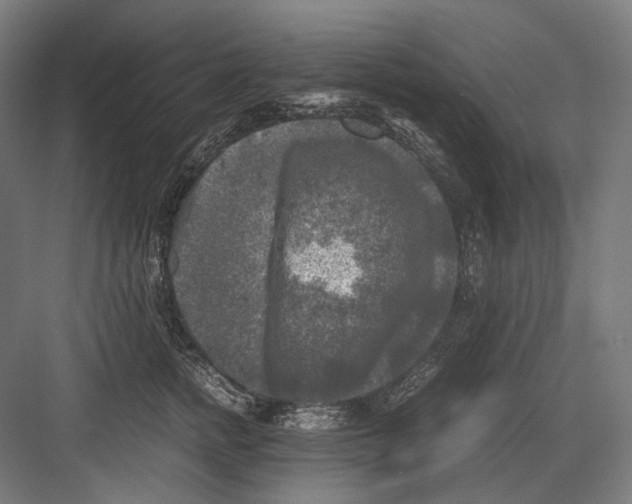 X0000081570758200702121421