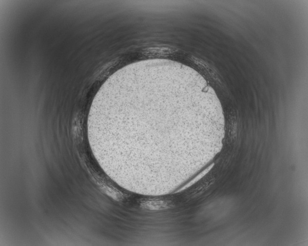 X0000081570759200702121421