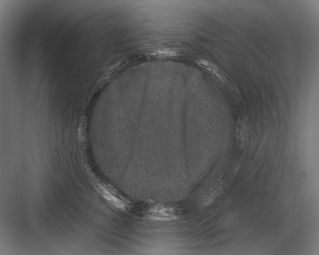 X0000081570760200702121421