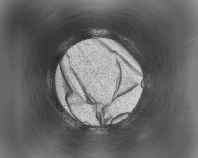 X0000081570763200702121421