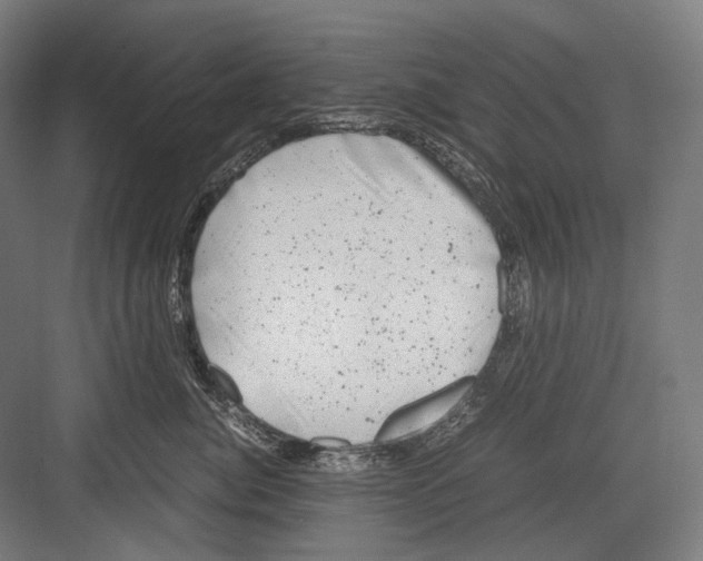 X0000081570764200702121421