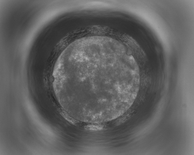 X0000081570765200702121421