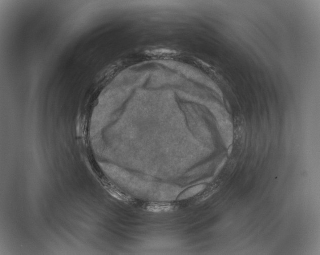 X0000081570767200702121422