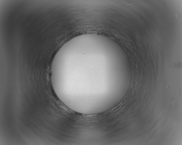 X0000081570768200702121422