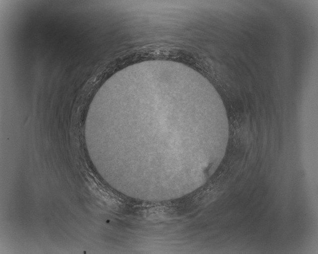 X0000081570769200702121421