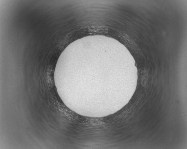 X0000081570770200702121421