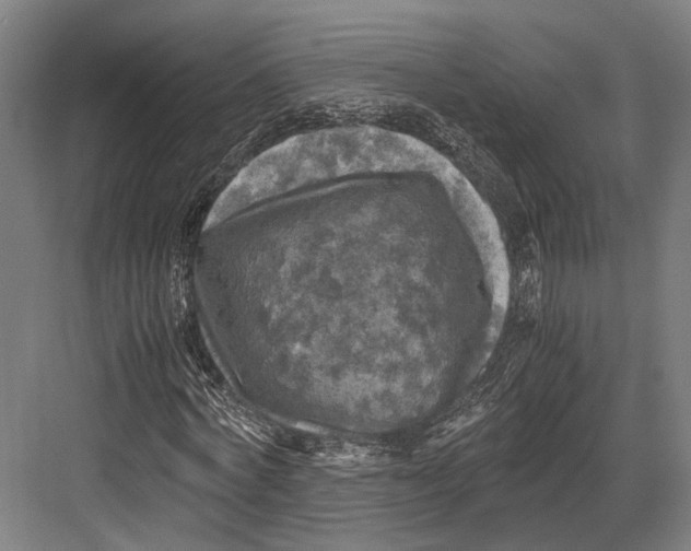 X0000081570772200702121421