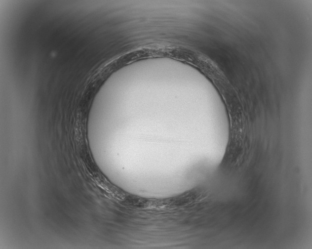 X0000081570773200702121421