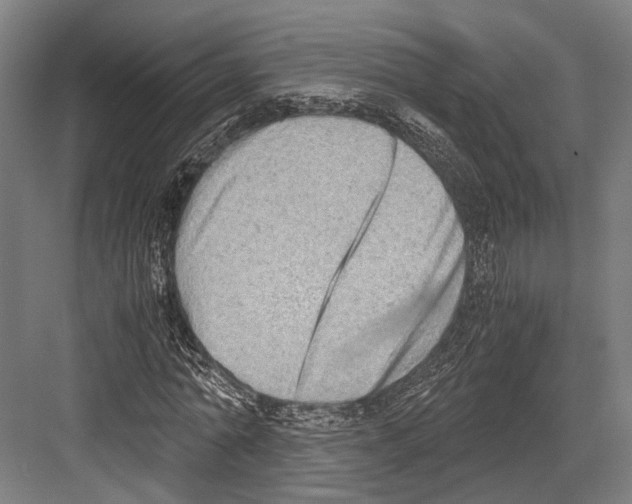 X0000081570774200702121421