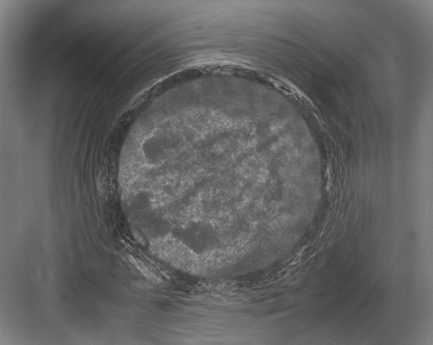 X0000081570775200702121421