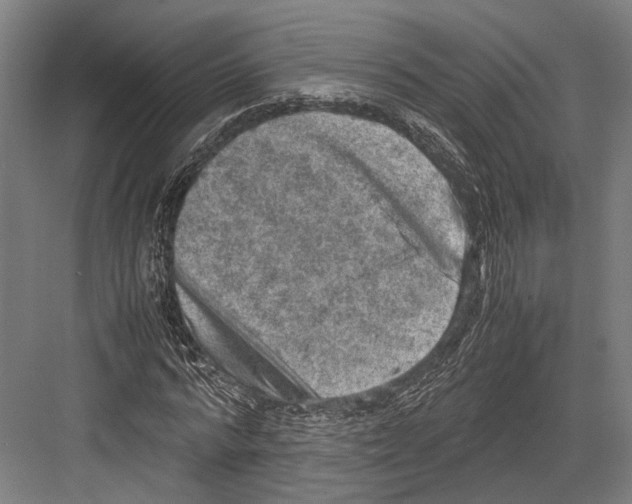 X0000081570776200702121421