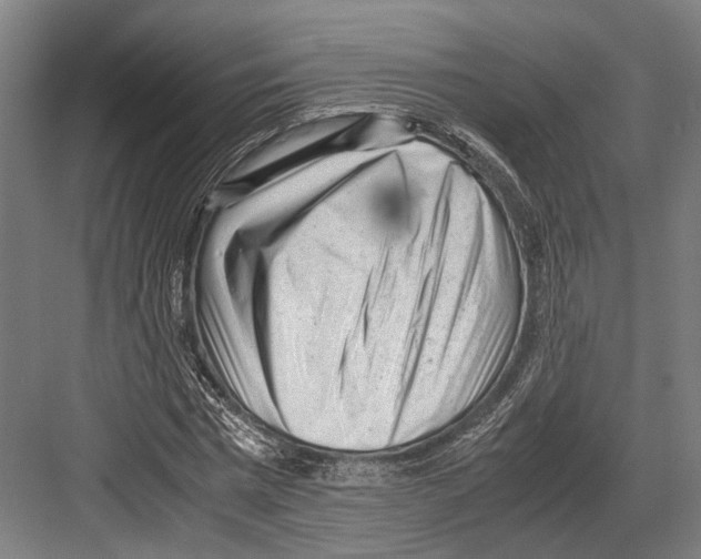 X0000081570777200702121421