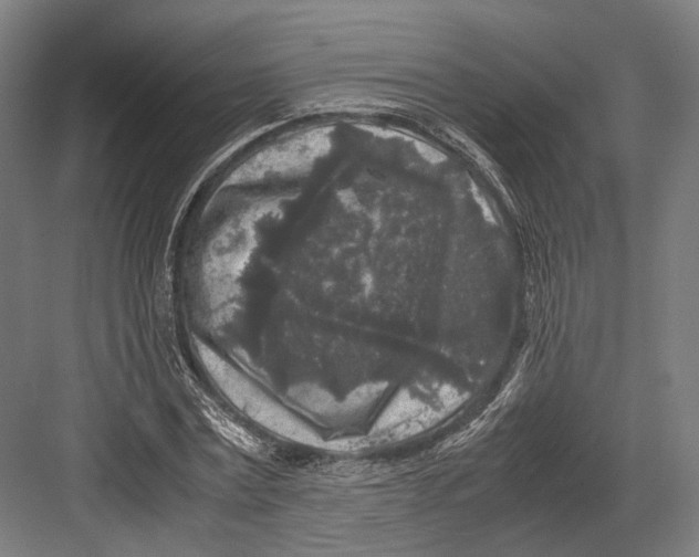 X0000081570779200702121421