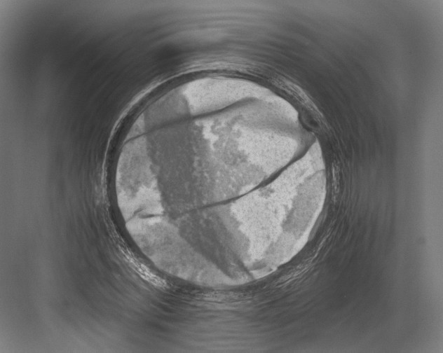 X0000081570780200702121421